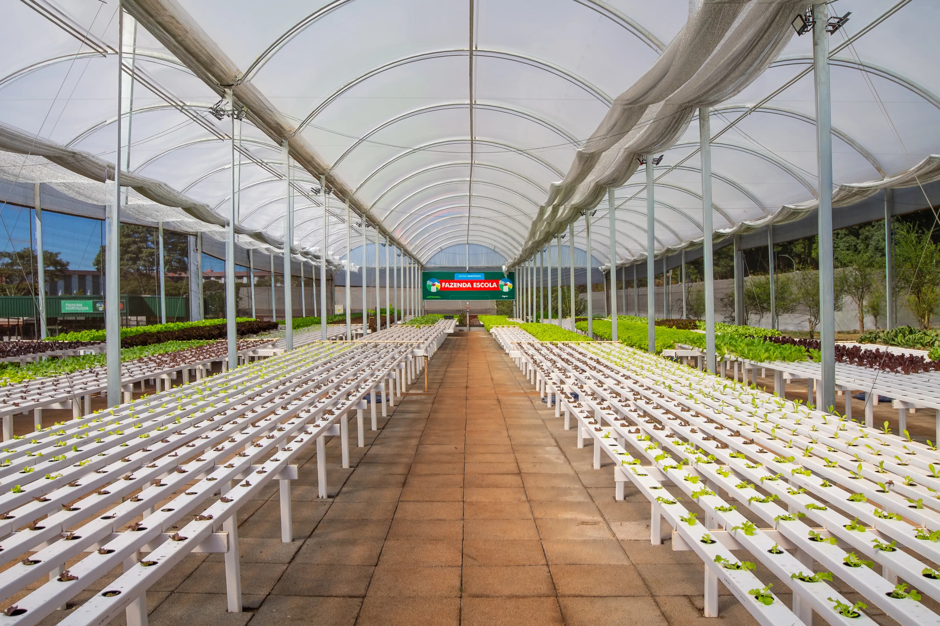 Estufa de Hidroponia - Fazenda Escola