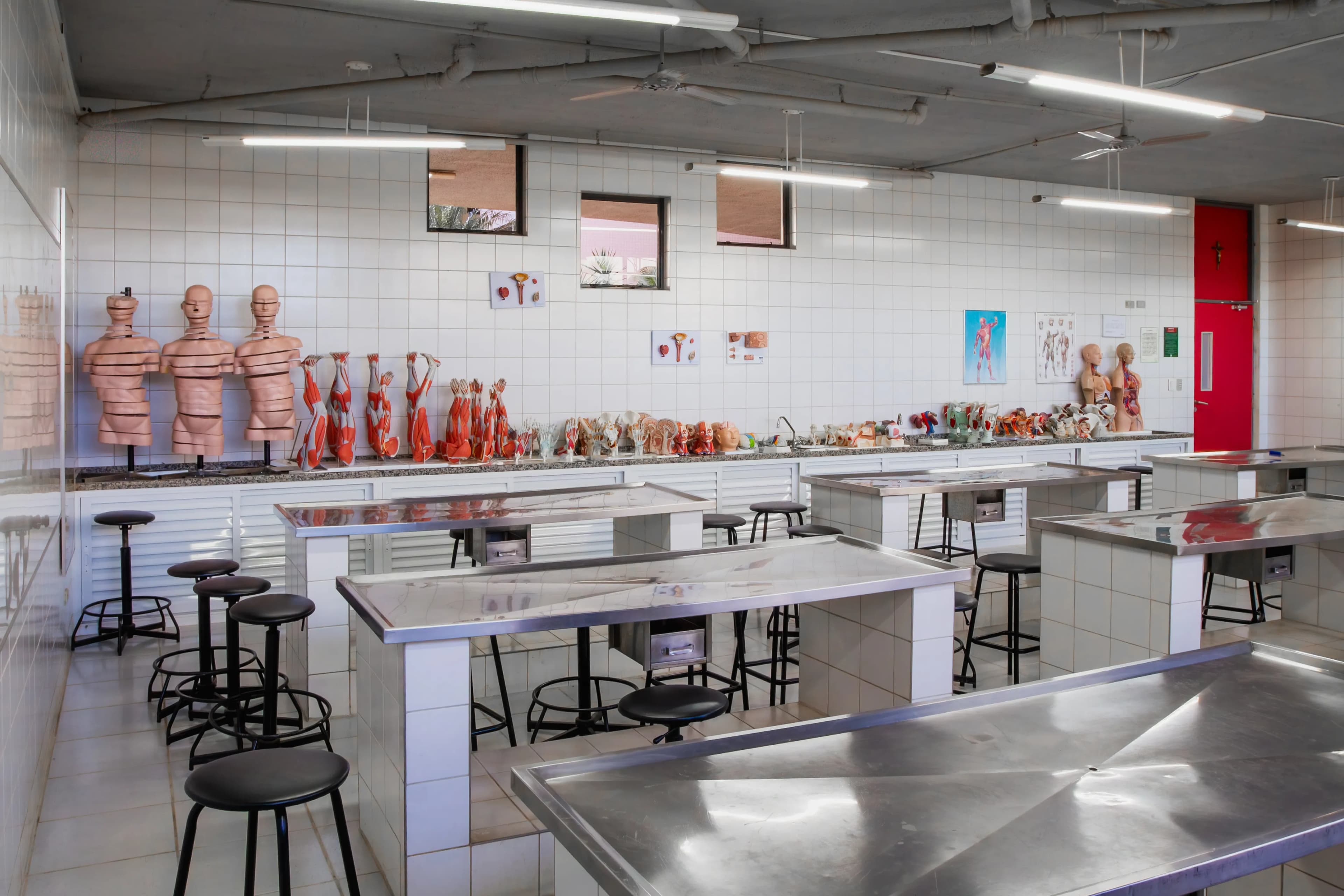 Laboratório de Anatomia