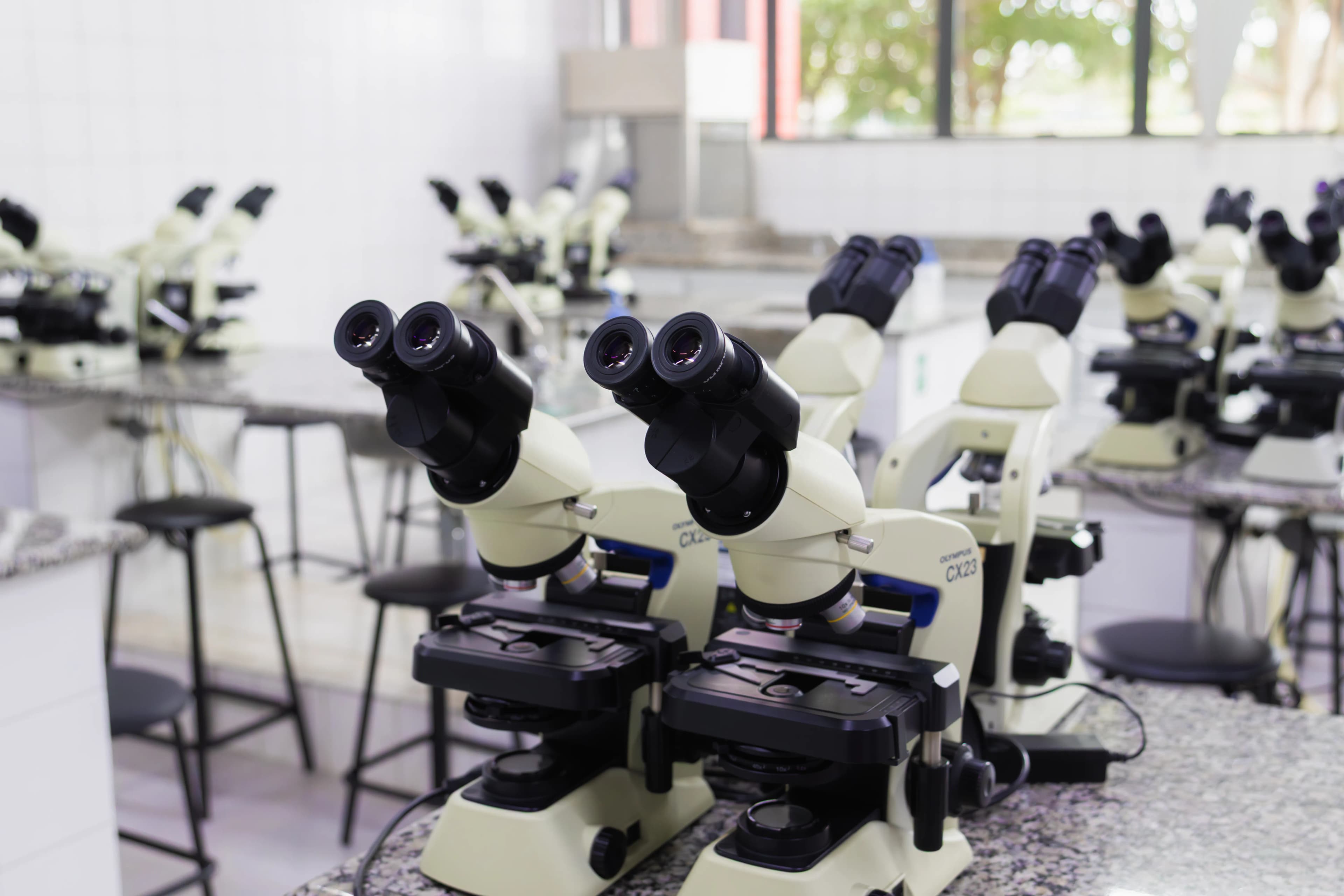 Laboratório de Microscopia I