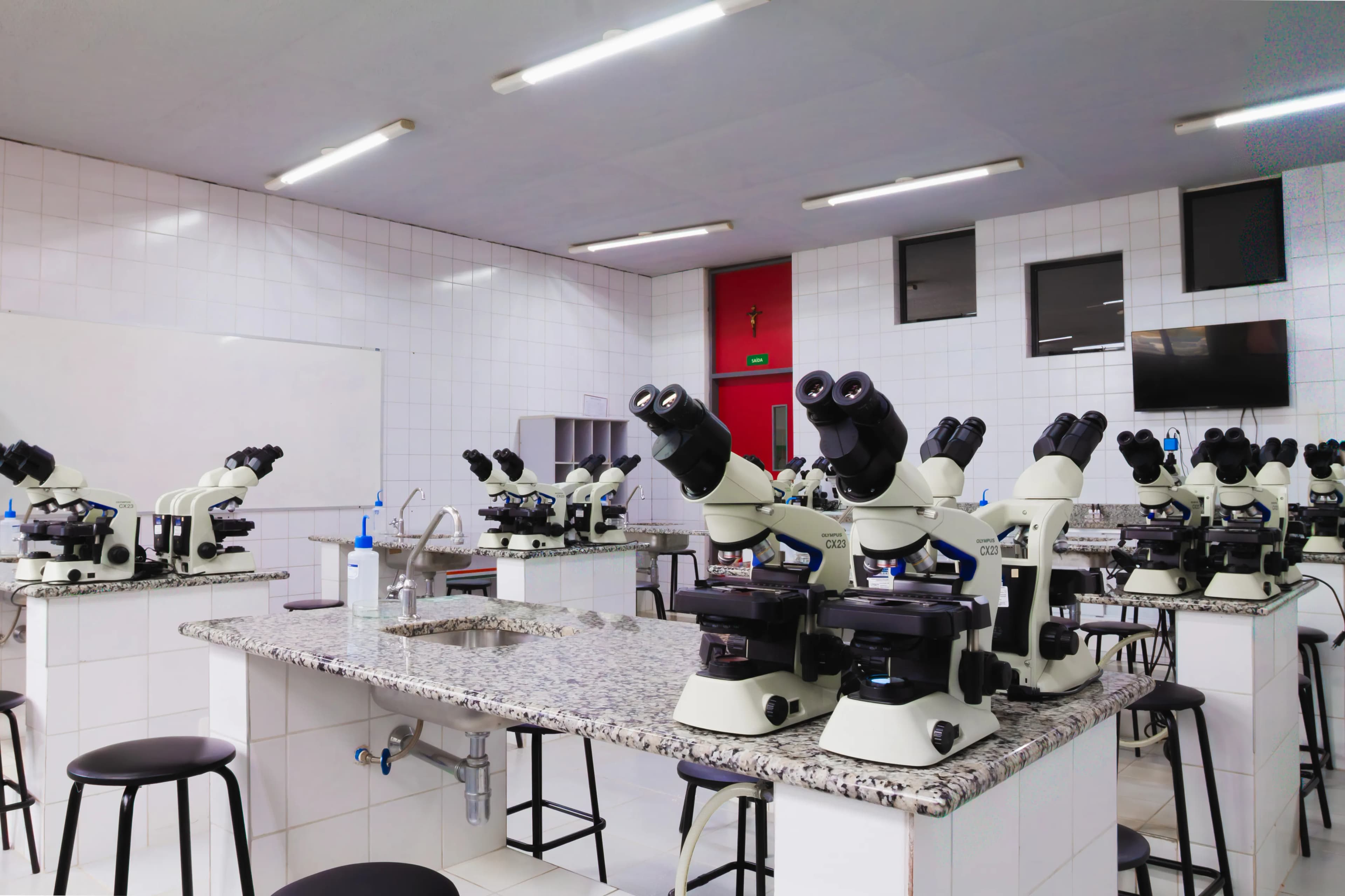 Laboratório de Microscopia II