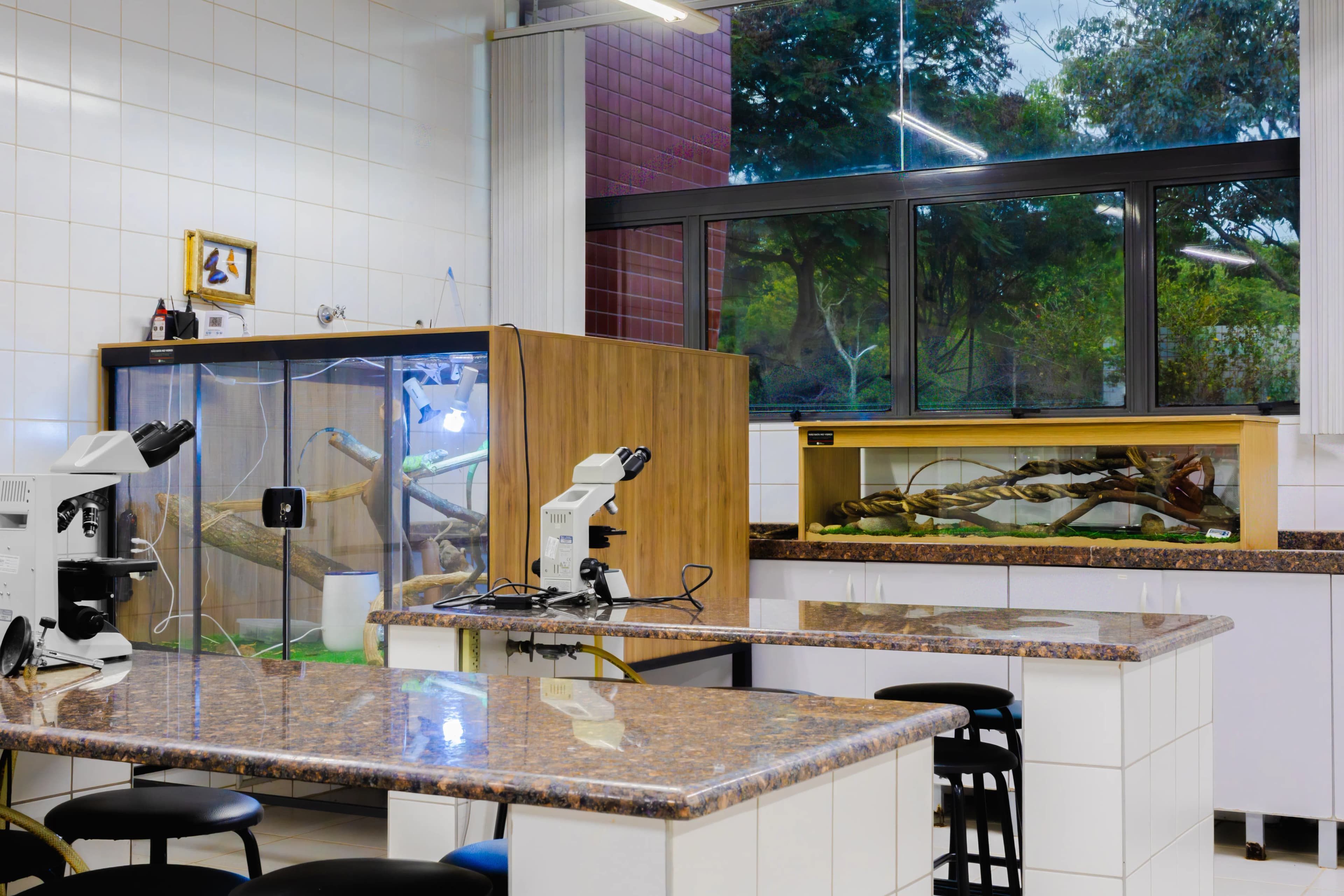Laboratório de Zoologia