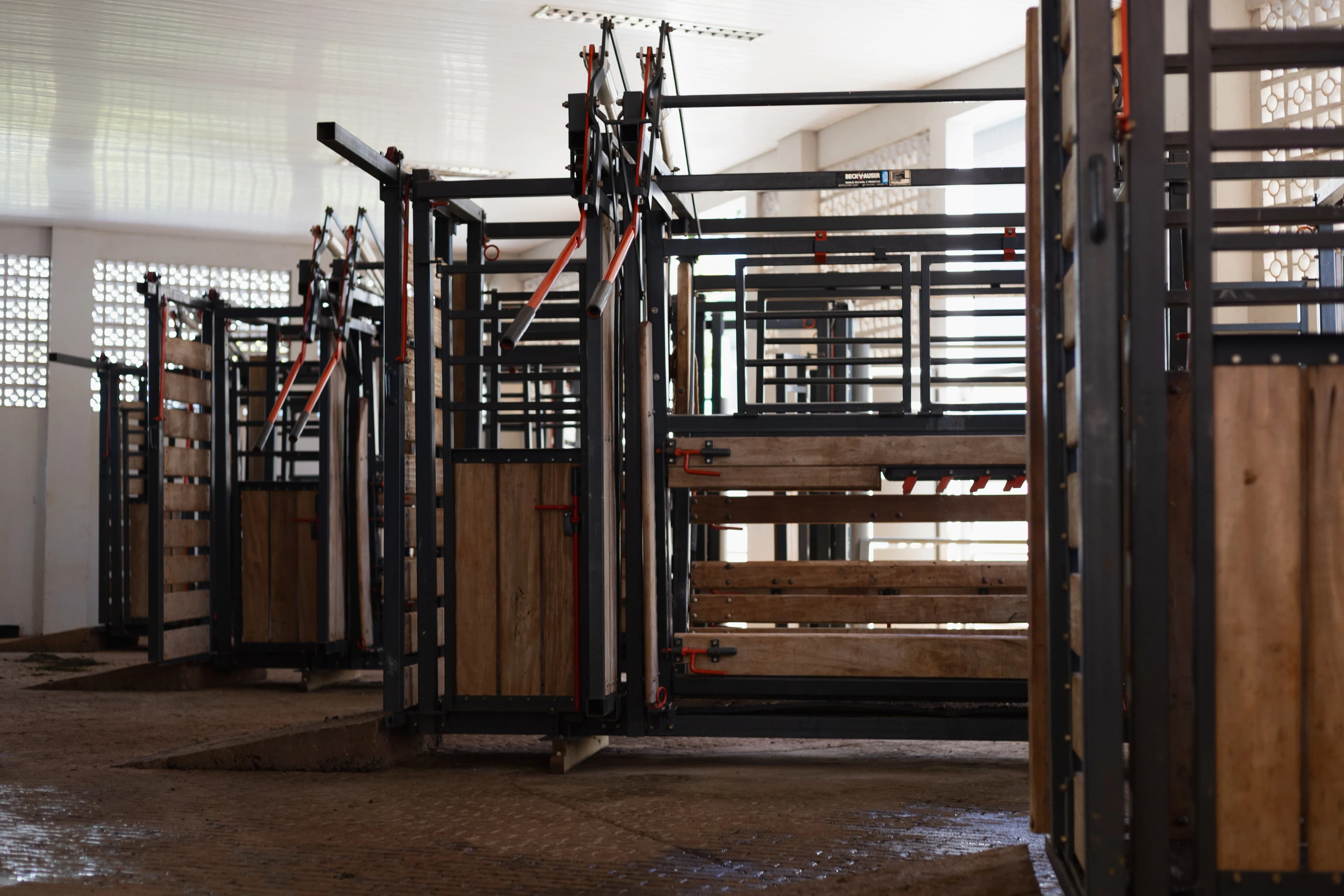 Troncos - Hospital Veterinário